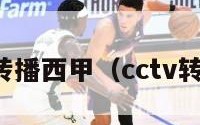 哪个卫视转播西甲（cctv转播西甲吗）