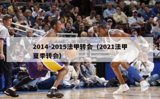 2014-2015法甲转会（2021法甲夏季转会）