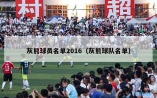 灰熊球员名单2016（灰熊球队名单）