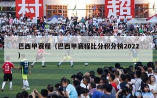 巴西甲赛程（巴西甲赛程比分积分榜2022）