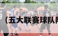 五大联赛球队（五大联赛球队队徽图片大全）